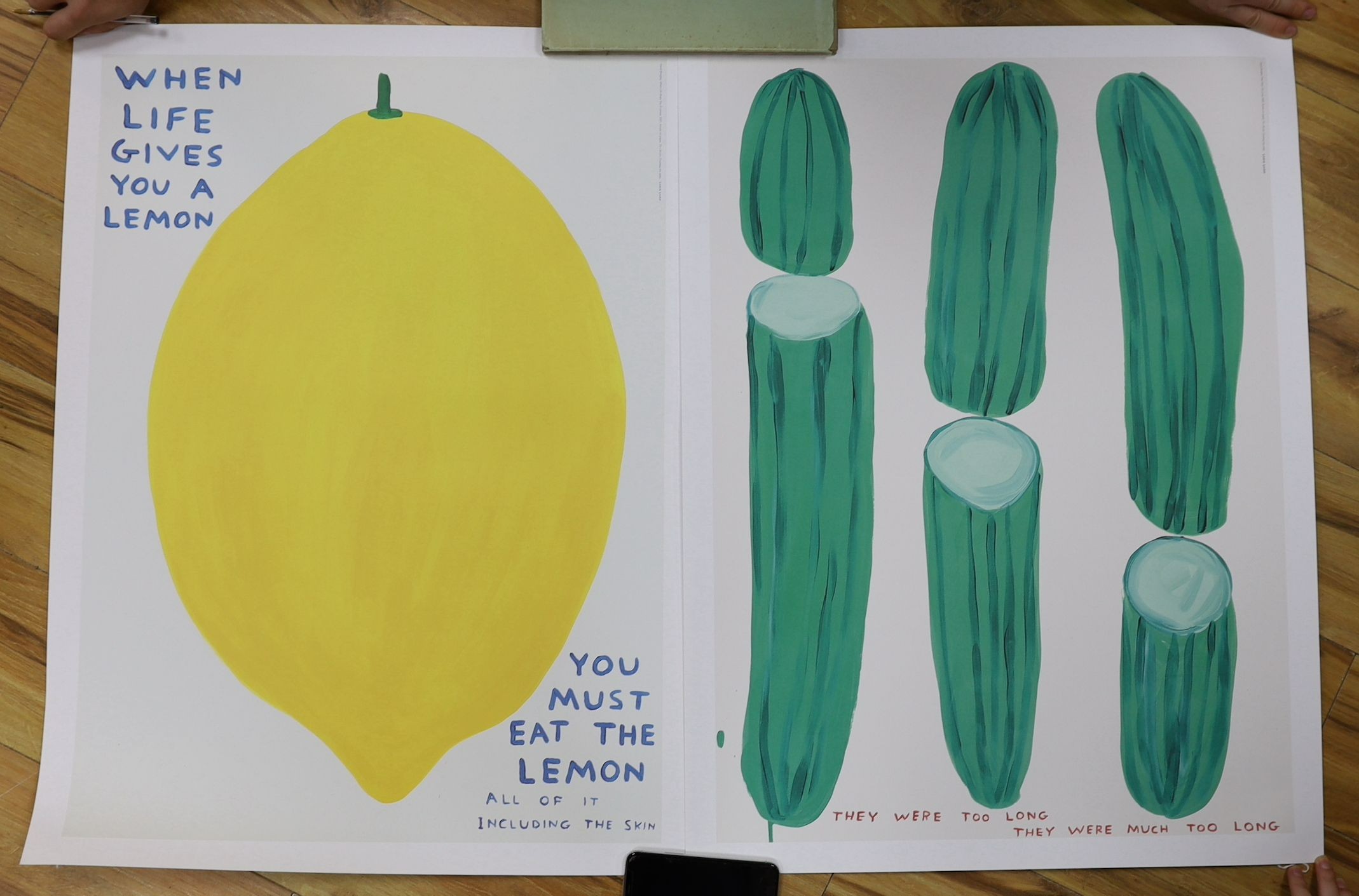 David Shrigley (1968-), two colour prints, 'When life gives you a lemon' and 'They were too long', 80 x 60cm, unframed